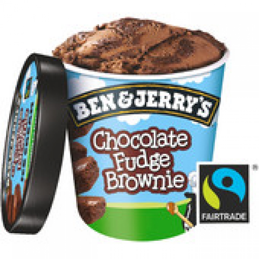 Ben & Jerry's Chocolate Fudge Brownie Ice Cream 458mL
