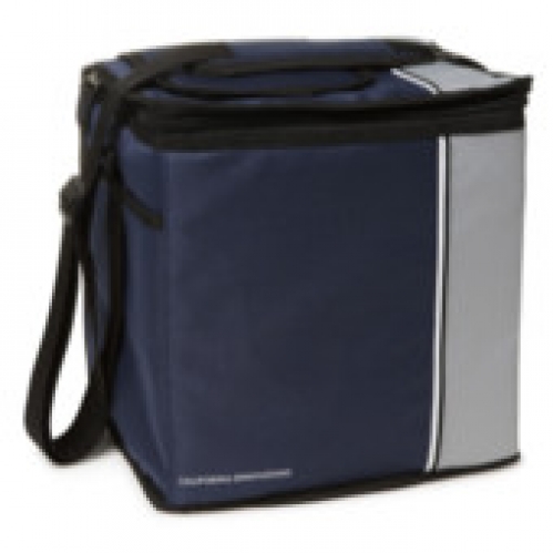 California Innovations Cooler Collapsible 24 cans