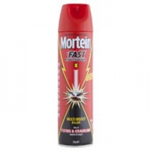 Mortein Fast Knockdown Insect Spray 300g