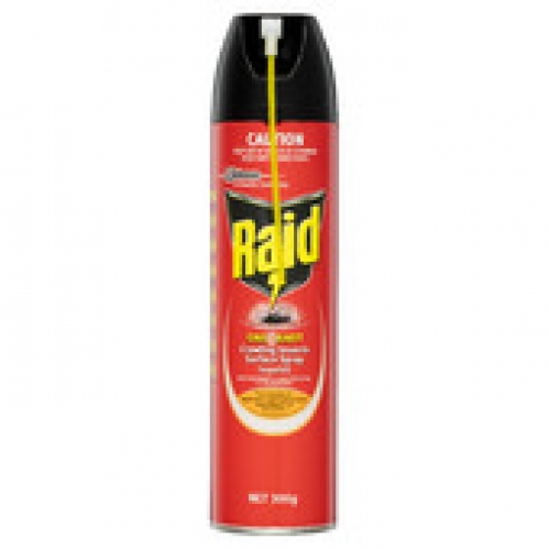 Raid One Shot Target Kill Crawling Insect Spray 300g